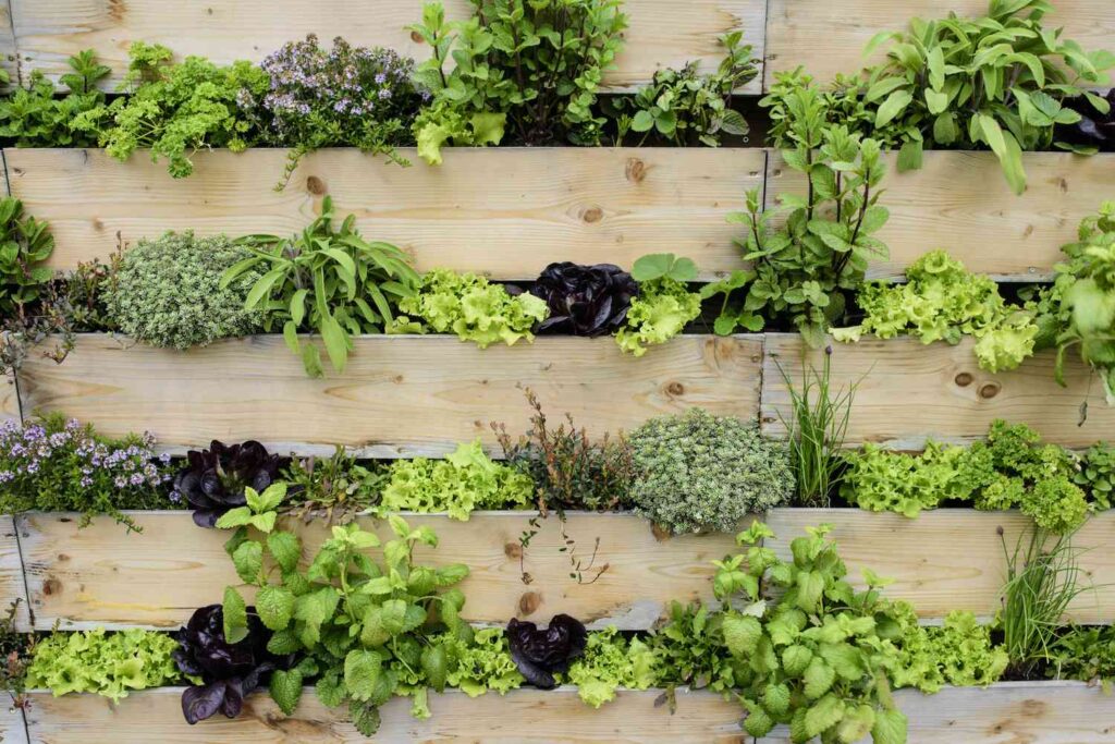 Vertical gardens