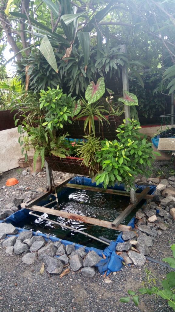 Mini fishpond with vertical grow bed and sand filter