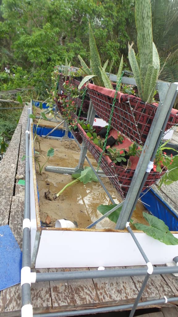 Community waste water treatment system and grow bed